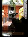 Hotel Yamunatheeram