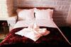 Solacetone Homestay
