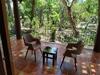 Hotel The Birchwood Retreat, Madikeri