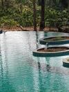 Hotel The Birchwood Retreat, Madikeri