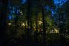 Hotel Crown Valley Thekkady