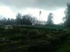 Hotel Rosepark Residency