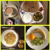 Bed & Breakfast Mimosa Udaipur