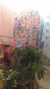 Apartamento Prakrutika
