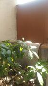 Apartamento Prakrutika