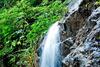 Sanjose Holiday Home Resort,virajpet