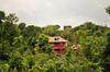 Sanjose Holiday Home Resort,virajpet