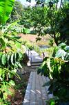 Sanjose Holiday Home Resort,virajpet