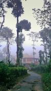 Sanjose Holiday Home Resort,virajpet