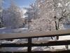 Apartments Vila Velickovic