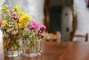 Hotel Balcones De Piedad