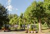 Camping Serra