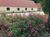 Birkende Bed And Breakfast