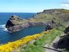 Ingledene, Boscastle
