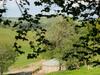 Rolling Hills