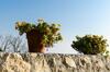 Village House Ana Dubravica