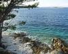 Apartments By The Sea Pomena, Mljet - 10426