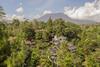 Oyo 917 Cansebu Amazing Camp & Resort