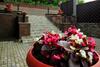 Medved Hotel