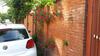 Guest House On Griboyedova 3