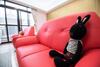 Catt Leya B&B Hotel