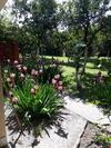 Hostal Guest House Mimoza