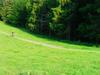 Lodge Guest House Family Green