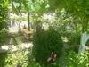 ??? ??? ???? ? ????? ?? ????? ??????? ????????????
