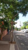 Barud Gedera Israel
