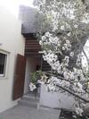 Lodge Sawsan's Suites