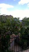 Hostal Locanda Al Castello