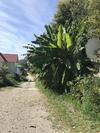 Hostal Guest House Tomichka
