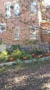 Bed & Breakfast Rose Corner Inn