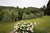 Agroturismo Il Borgo Di San Michele