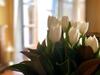 Bed & Breakfast La Dimora Del Conte