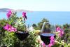Apartmani Pogled