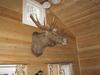 Hostal Hirvi Lodge