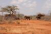 Sagala Lodge
