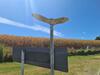 Hotel Te Kaha Beach Resort