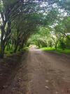 Refugio De La Monta�a B&B