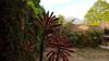 Hotel Posada Las Mar�as