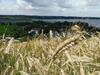 Hjarb�k Fjord Camping & Cottages