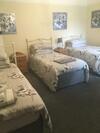 Hostal The Oak Tree Guest House