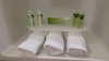 Hotel Holiday Inn Express & Suites Des Moines Downtown