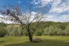 Agroturismo Bosco Lazzeroni Residence