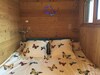 Ecog�te Les Papillons Des Sucs