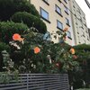 Charmant Hotel