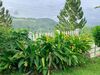 Amandari Holiday Villa