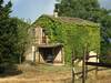Agroturismo Agriturismo Podere Conte R�cani