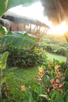 Hotel Phuree Hut